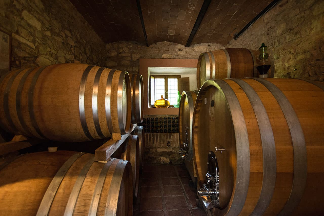Visite e degustazioni in cantina